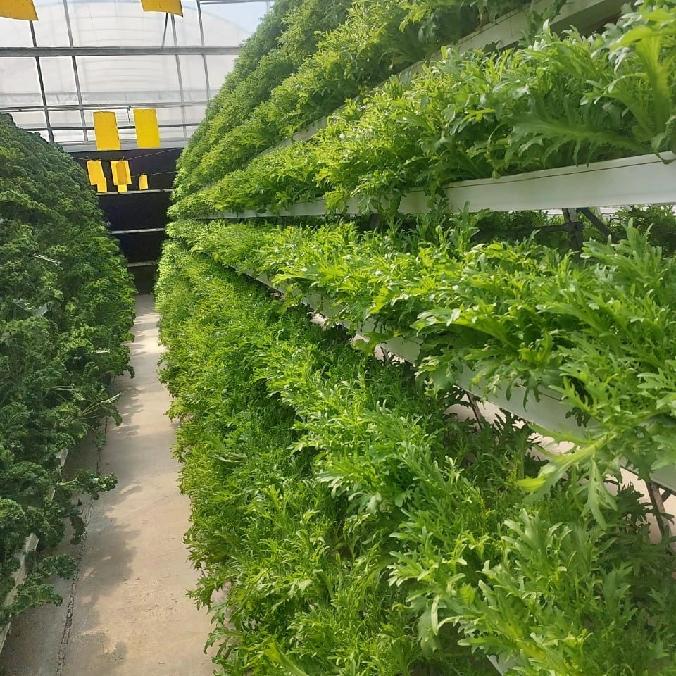 {当前产品的产品关键词轮巡使用}